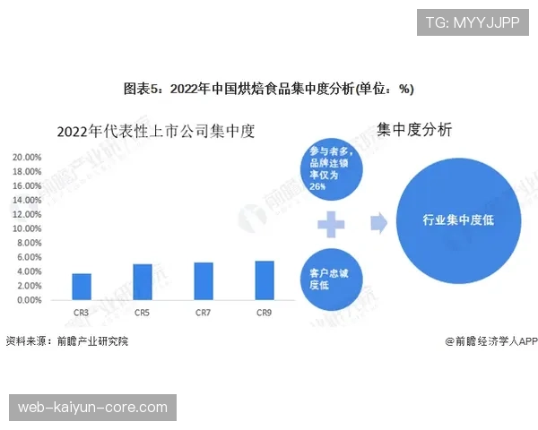 切尔西的引援策略投资试错风险，将对球队稳定性与竞争格局形成考验